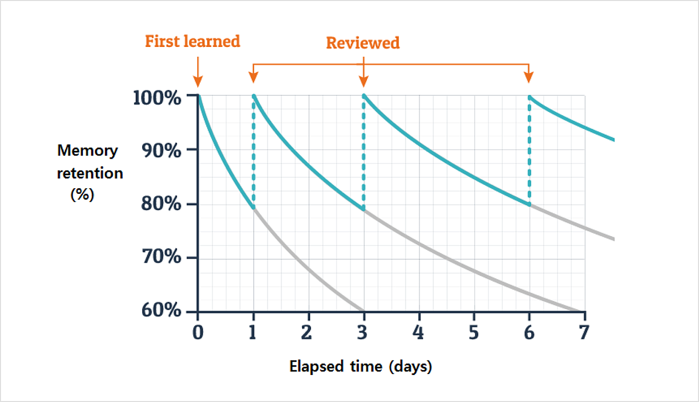 Ebbinghaus forgetting curve and review cycle 