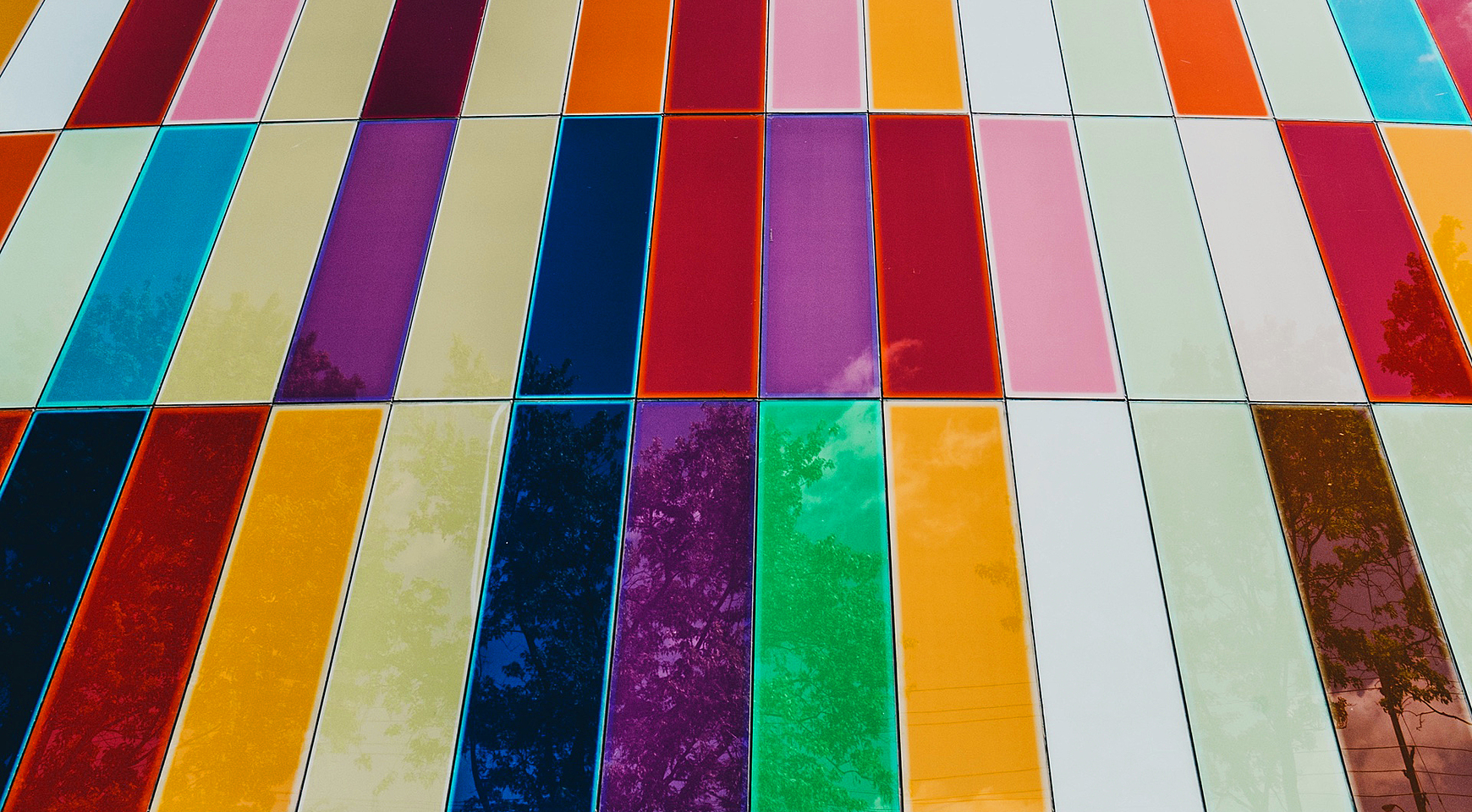 Website Color Scheme